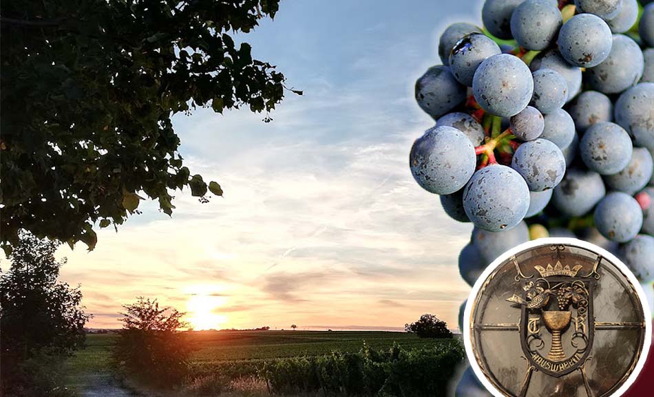 Unterkunft und Verpflegung in Rheinhessen